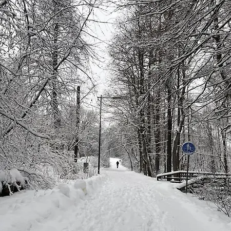 Cozy And Relaxing In Ingas, Apartment
