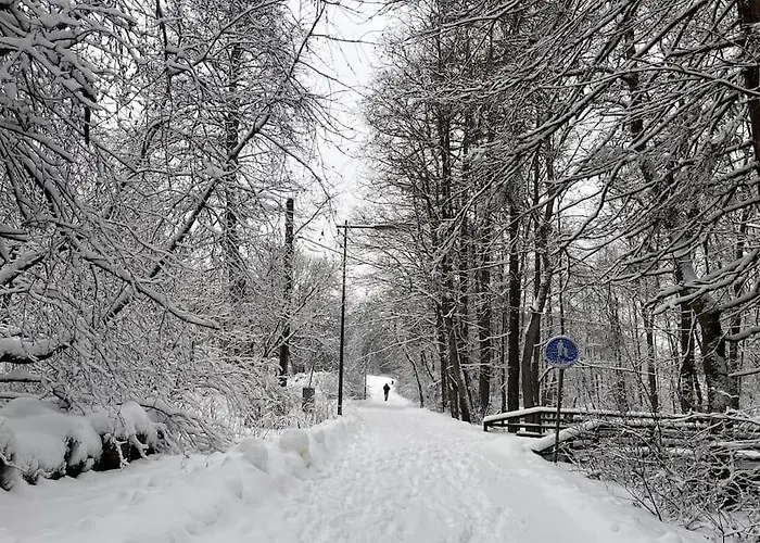 Cozy And Relaxing In Ingas, Апартаменты